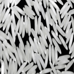 Super Kernel Basmati White Aromatic Rice